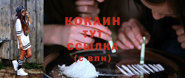 герыч Пересвет