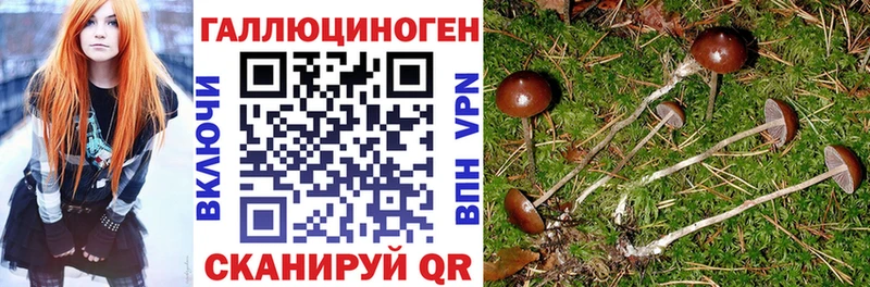 Галлюциногенные грибы Magic Shrooms  Тула 