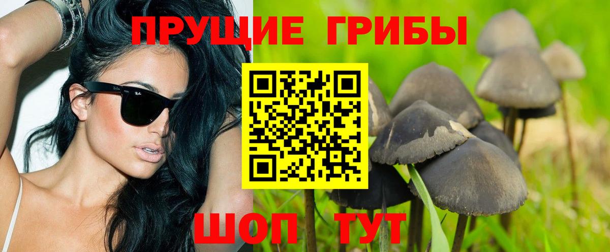 Галлюциногенные грибы мицелий Тула
