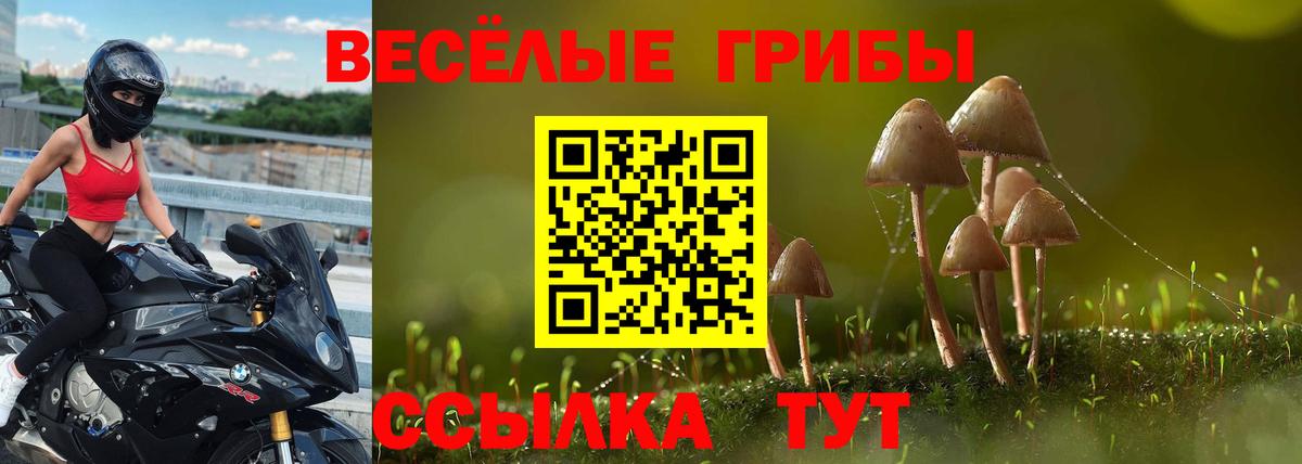 Псилоцибиновые грибы ЛСД  Вход с VPN  Тула 